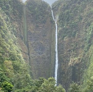 Meet your Posher, Jo ann